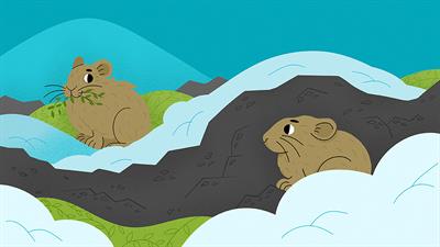 How Will Climate Change Affect Pikas’ Favorite Snacks?